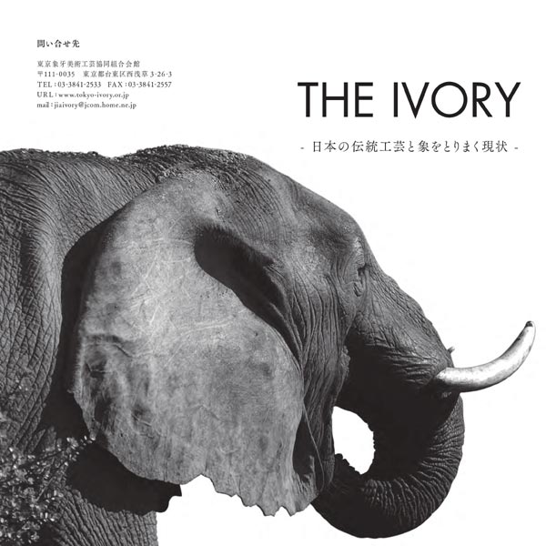 2017 THE IVORY